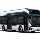 2019-주080 이미지