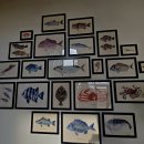 포항시북구53 이미지