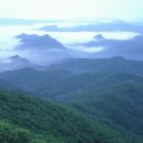 그랜드팜 이미지