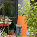 남촌실비식당 이미지