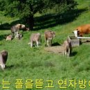 초가고향/ 박 재홍 이미지