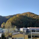 광주027 티스토리