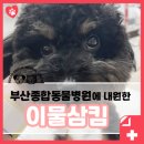 부산종합동물병원 이미지