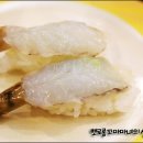 와일드원 이미지