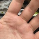 크로스핏토스 역곡점 이미지