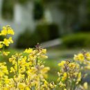 남해-239 이미지