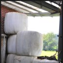 용문목장 이미지