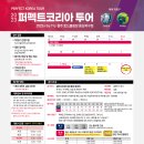 퍼펙트투어 Daum카페