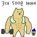 인스타짐 이미지
