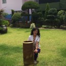 황금보리 이미지