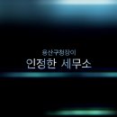 신우세무회계사무소 Daum카페