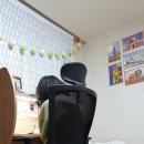 현정엔지니어링 | 편안한 학생 의자, 시디즈 sidiz T50 시리즈로 추천!