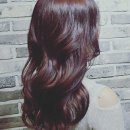 요즘:헤어#