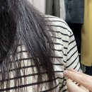 버블큐어 탈모완화 두피샴푸 S9 사용후기 미용실샴푸 추천