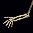 회외(supination) &amp; 회내(pronation) 이미지