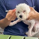 토닥민박 이미지