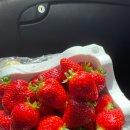 한일지물포 이미지