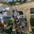 화산가든 이미지