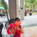 로드랜드빌리지 | 251001-1011 하와이 여행 5일차(일리카이호텔/힐튼빌리지abc마트/쿠알로아랜치 UTV 랩터 투어/훌리훌리...