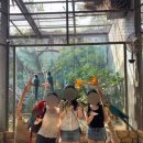 푸꾸옥 3박 5일 일정 1일차 렌트카 투어, 킹콩마트, 빈펄사파리, 모벤픽 리조트 헬스, 배달