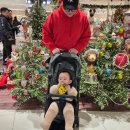 대신지하상가 | 백화점과 지하상가 다니기 편했던 휴대용 유모차, 초경량 유모차 미마 밀리 사용 후기!!