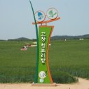 나성농장 티스토리