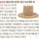 모자나라 이미지