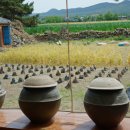 심청골짝나라학교 이미지