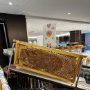 리스본 여행 3일차, 제로니무스 수도원, 프라사 두 임페리우 제국광장, Forno d&#39;Oro Pizzeria, Santa...