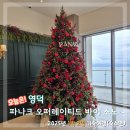 영덕01 | [경북 영덕여행 숙소] 파나크 오퍼레이티드 바이 소노 슈페리어 숙박후기(내돈내산 가족여행)