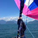 신용주유소 이미지