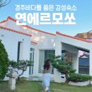 푸르다오션 민박 | 경주 감포 독채펜션 추천 감성숙소 연에르모쏘 조용한 어촌시골마을