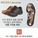 디지라인 이미지