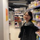 루피니스 | 파리 신혼여행용 내돈내산 소비기록
