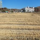 장양농장 이미지