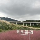 기장군농업기술센터 | 기장 핑크뮬리 팜파스 아담한 기장군농업기술센터!