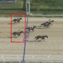 포레스트 G2 이미지