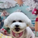 우리는미용이너무좋다