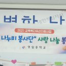 영일중학교 Daum카페