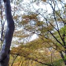 사유랑 호스텔 이미지