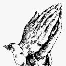 다섯손가락 이미지