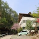 단양펜션구구산장 | 단양구구산장 단양단체펜션 소백산 청정 자연 속에 자리 잡은 완벽한 힐링 스페이스