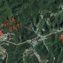 석등슬치로 이미지