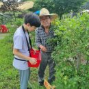 김진만농장 이미지