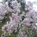 오월펜션 이미지