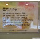 암소뱅크 이미지