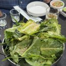 완도막회집