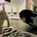 바지를 입은 구름 이미지