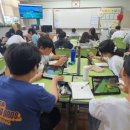 금파초교 이미지