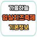 초대마을주민 목공예 | 임실N치즈축제기본정보 초대가수 라인업부터 셔틀버스까지, 임실치즈축제 100% 즐기는 법